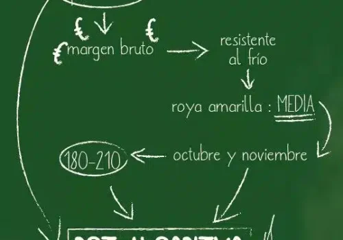 rgt-algoritmo