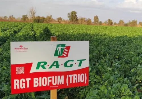 rgt-biofum-trio
