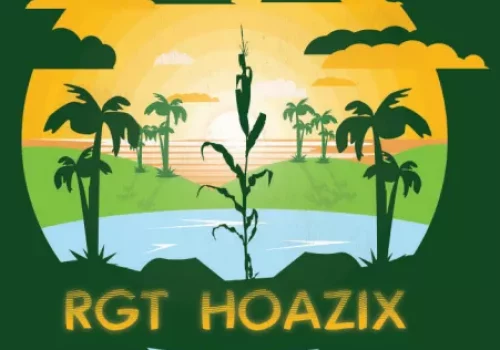 rgt-hoazix1