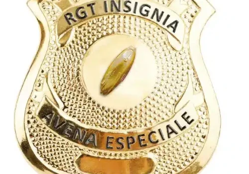 rgt-insignia