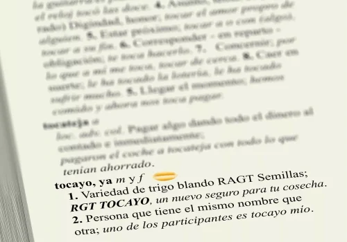 rgt-tocayo