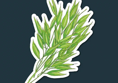 rgt-vegetalia