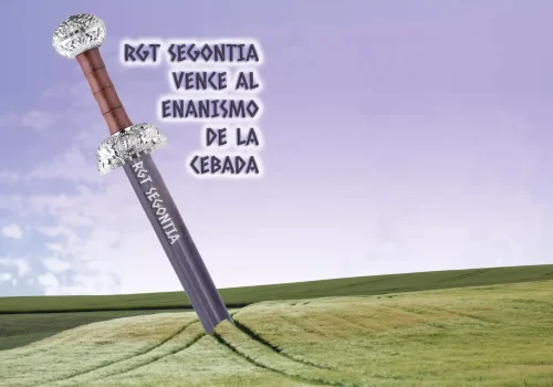 rgt_segontia