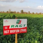 RGT BIOFUM TRIO